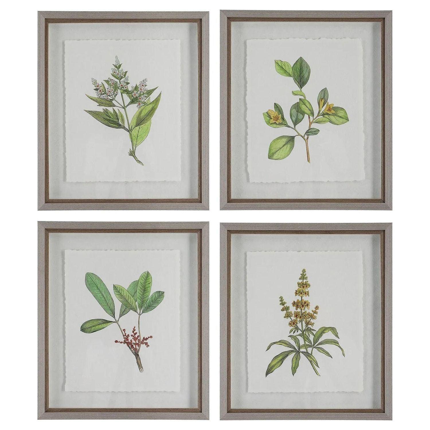 The Uttermost - Wildflower Study Framed Prints, S/4 - 41461 - Canada Light Shop