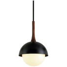 Troy Lighting - Cadet Pendant - F7644-SBK - Canada Light Shop