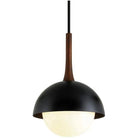 Troy Lighting - Cadet Pendant - F7646-SBK - Canada Light Shop