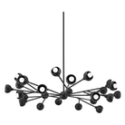 Troy Lighting - Colt Chandelier - F7424-SBK - Canada Light Shop