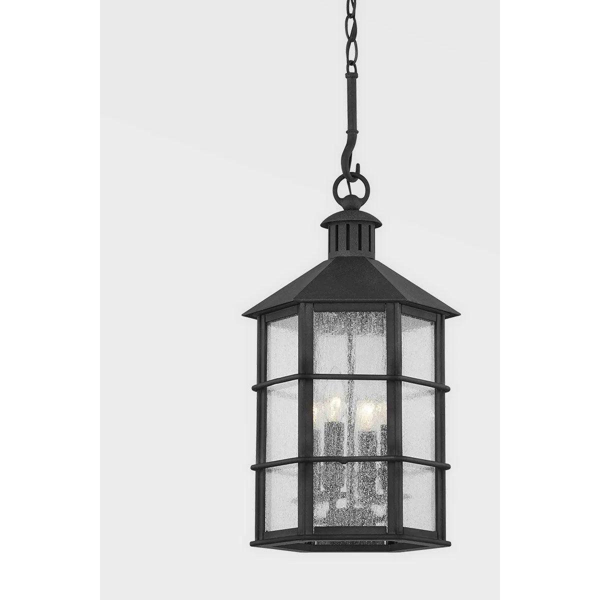 Troy Lighting - Lake County Exterior Lantern - F2526-FRN - Canada Light Shop