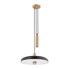 Troy Lighting - Plummet LED Pendant - F1618-PBR/SBK - Canada Light Shop