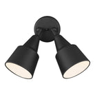 Generation Lighting Canada - 8560702-12 - Two Light Adjustable Swivel Flood Light - Flood Light - Black