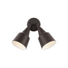 Generation Lighting Canada - 8560702-71 - Two Light Adjustable Swivel Flood Light - Flood Light - Antique Bronze
