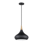 Kendal Lighting - Medina Pendant - PF138-BLK/BRS - Canada Light Shop