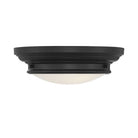 Meridian M60063MBK Two Light Flush Mount in Matte Black