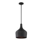 Meridian M70020MBK One Light Pendant in Matte Black