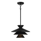 Meridian M70096MBK One Light Pendant in Matte Black