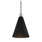 Meridian M70112MBK One Light Pendant in Matte Black