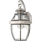 Quoizel - Newbury Outdoor Wall Lantern - NY8316P - Canada Light Shop