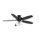 Kichler - Renew Premier Ceiling Fan - 330162SBK - Canada Light Shop