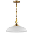 Nuvo Lighting - Colony Pendant - 60-7480 - Canada Light Shop