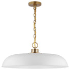 Nuvo Lighting - Colony Pendant - 60-7486 - Canada Light Shop