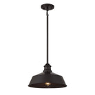 Meridian M7021ORB One Light Pendant in Oil Rubbed Bronze