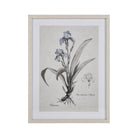 ELK Home - Iris Botanic Framed Wall Art - S0056-10633 - Canada Light Shop