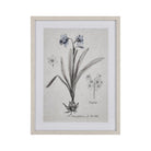 ELK Home - Daffodil Botanic Framed Wall Art - S0056-10634 - Canada Light Shop