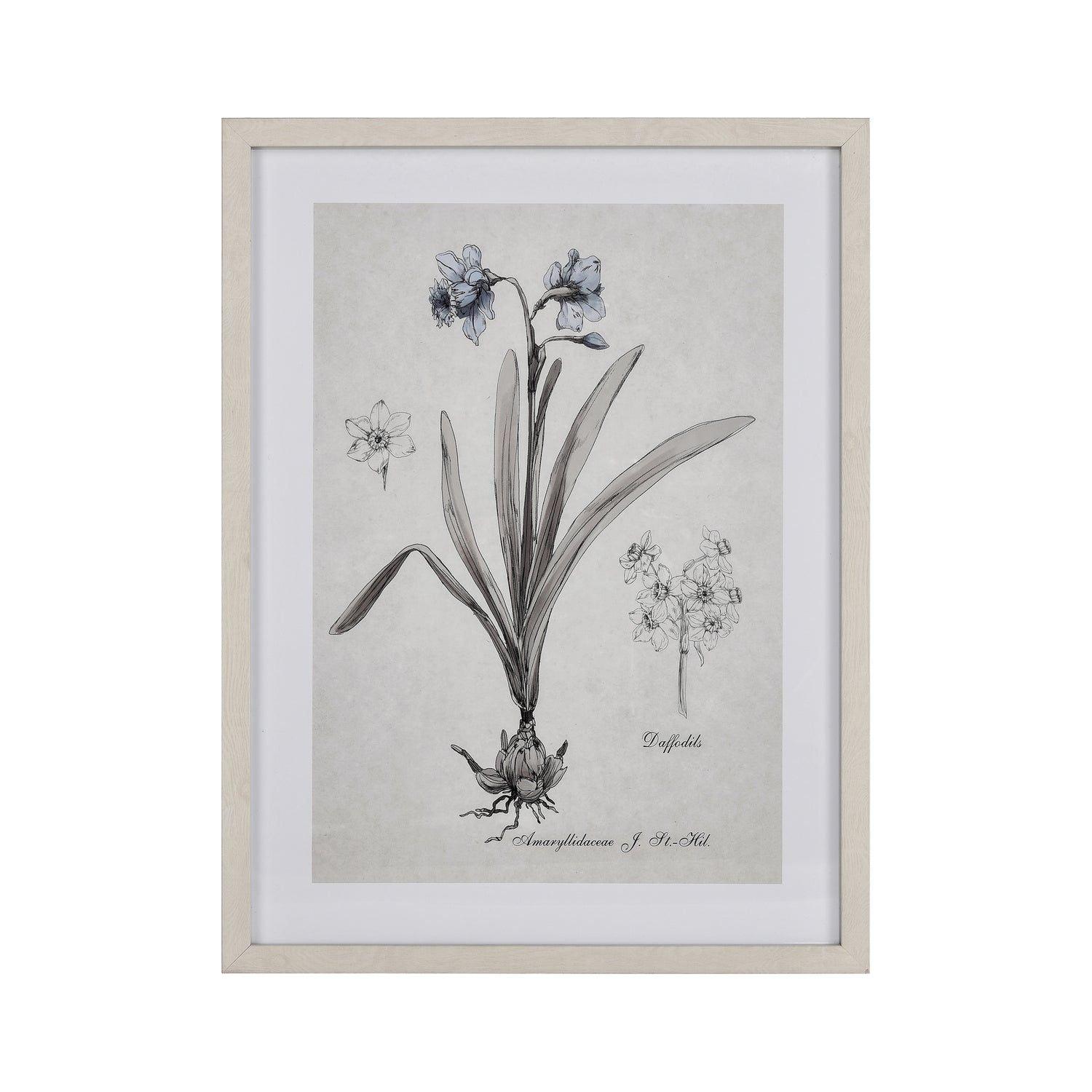 ELK Home - Daffodil Botanic Framed Wall Art - S0056-10634 - Canada Light Shop