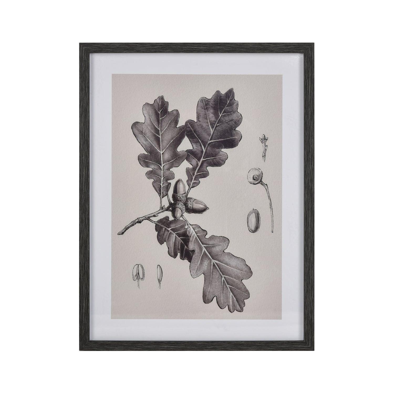 ELK Home - Oak Botanic Framed Wall Art - S0056-10636 - Canada Light Shop