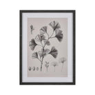 ELK Home - Ginkgo Botanic Framed Wall Art - S0056-10637 - Canada Light Shop
