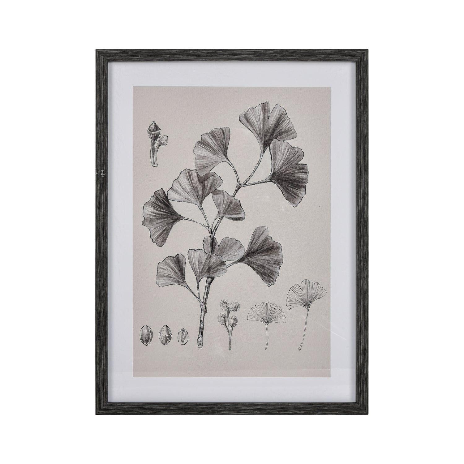 ELK Home - Ginkgo Botanic Framed Wall Art - S0056-10637 - Canada Light Shop