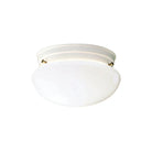 Kichler - Ceiling Space Flush Mount - 209 - 209WH - Canada Light Shop