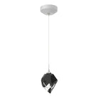 Hubbardton Forge - Chrysalis LED Pendant - 161188-SKT-STND-02-BP0754 - Canada Light Shop