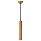 Nuvo Lighting - Century LED Pendant - 62-820 - Canada Light Shop