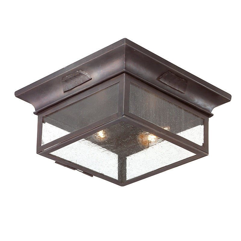 Troy Lighting Canada - C9000-SFB - Two Light Flush Mount - Newton - Soft Off Black