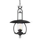 Troy Lighting Canada - F9013-SFB - One Light Hanging Lantern - La Grange - Soft Off Black