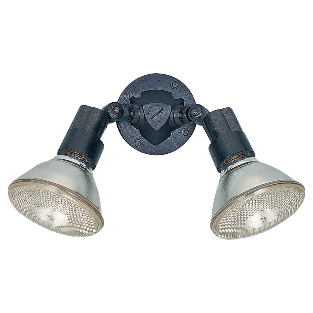 Generation Lighting Canada - 8642-12 - Two Light Flood Light - Flood Light - Black