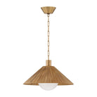 Troy Lighting Canada - F1422-PBR - One Light Pendant - Woodside - Patina Brass