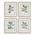 Uttermost - 32454 - Prints Set/4 - Fiddle Head - Golden