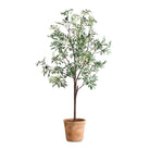 Uttermost - 60241 - Tree - Olea - Terracotta