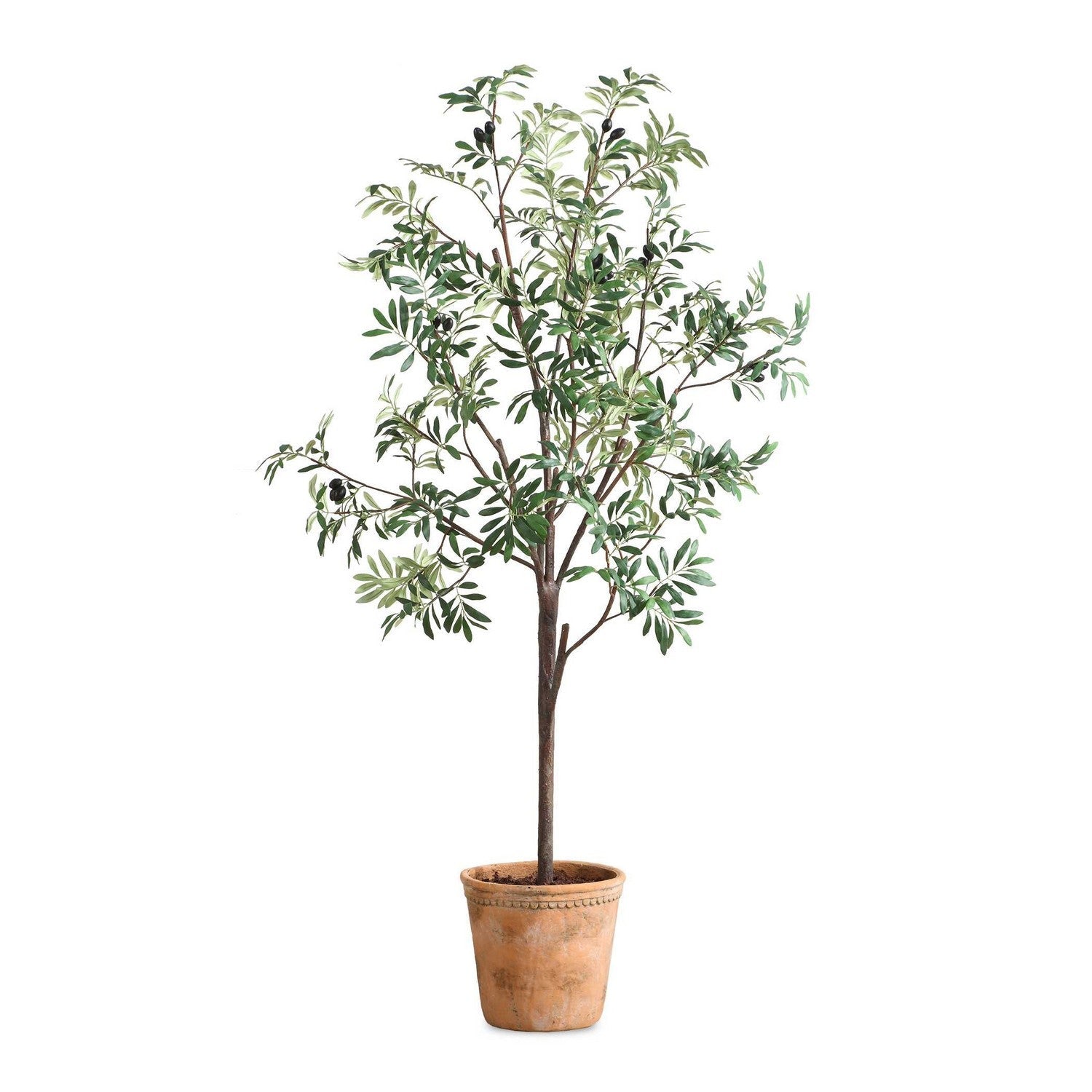 Uttermost - 60241 - Tree - Olea - Terracotta