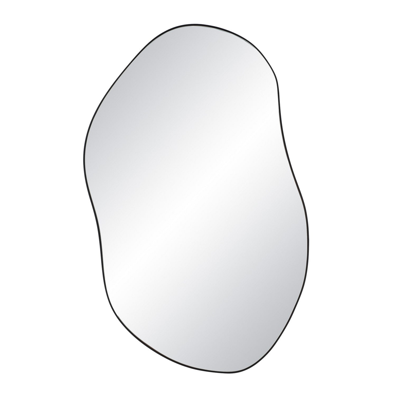 Renwil Canada - MT2659 - Mirror - Jane - Matte Black