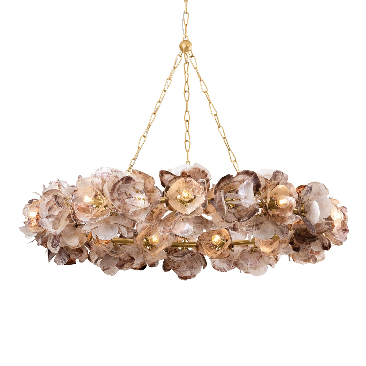 Corbett Lighting Canada - 543-54-VGL - 20 Light Chandelier - Galle - Vintage Gold Leaf