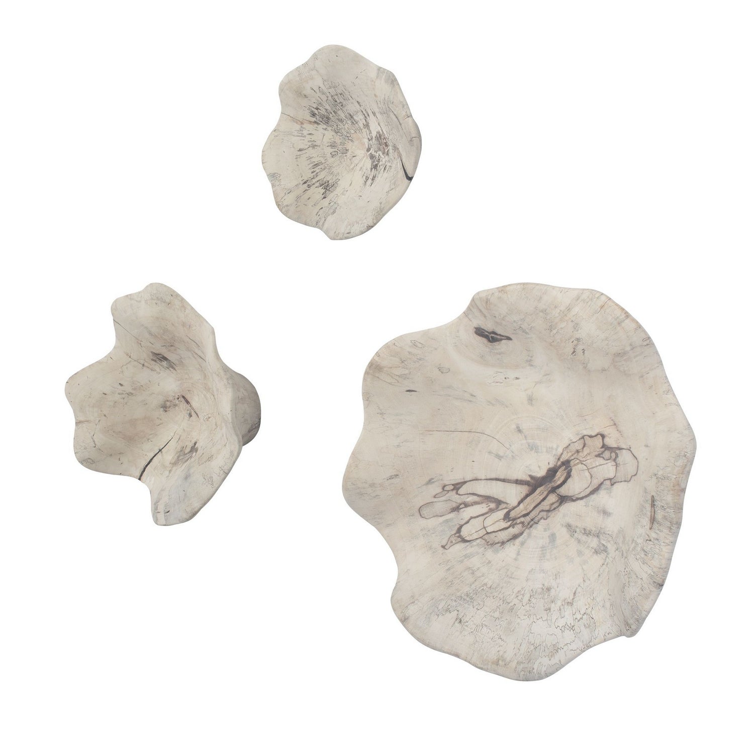 Uttermost - 03505 - Wall Decor Set/3 - Teo - Light Bleached