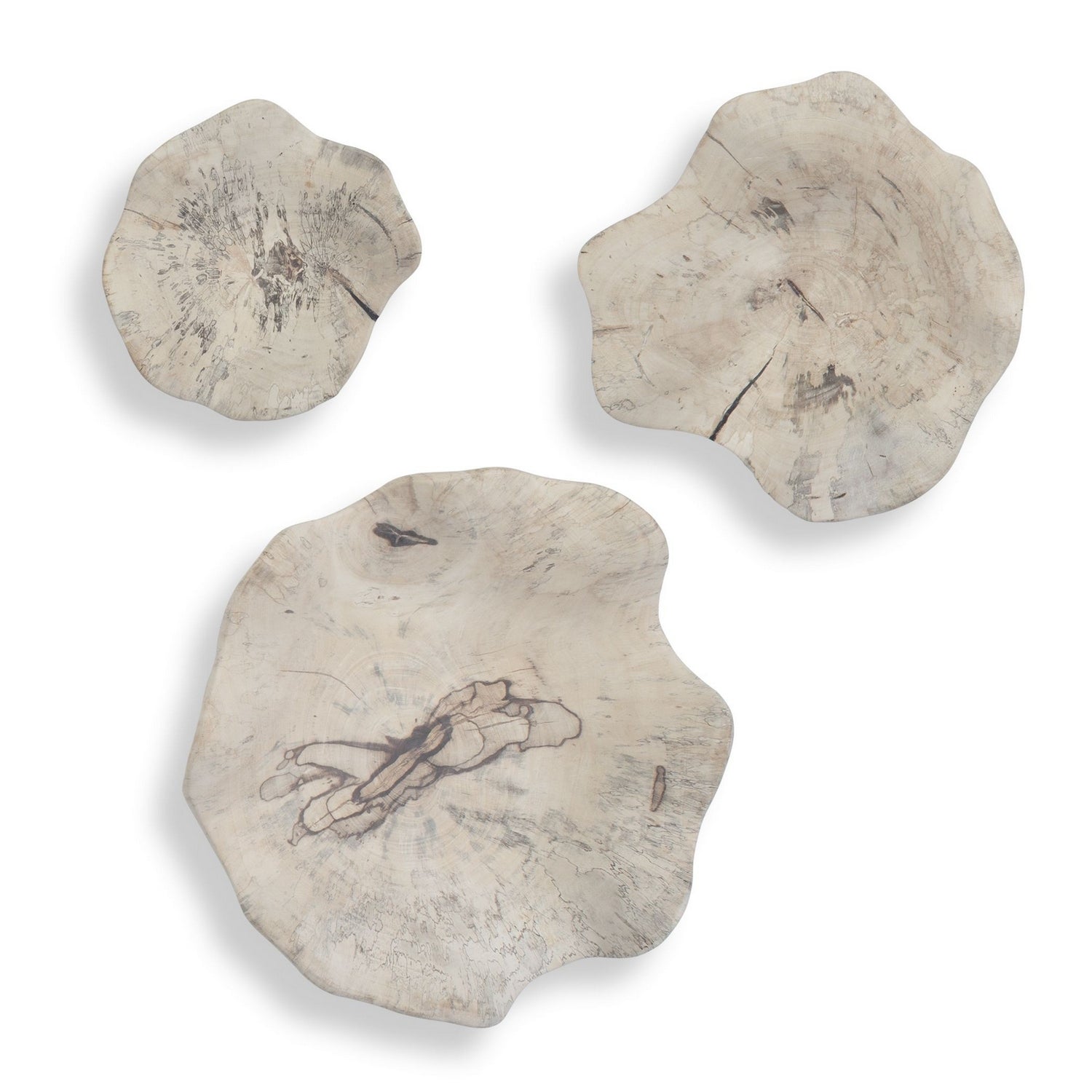 Uttermost - 03505 - Wall Decor Set/3 - Teo - Light Bleached