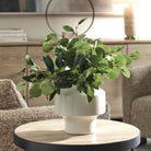 Uttermost - 60257 - Vase - Essence Eucalyptus - White