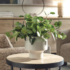 Uttermost - 60257 - Vase - Essence Eucalyptus - White
