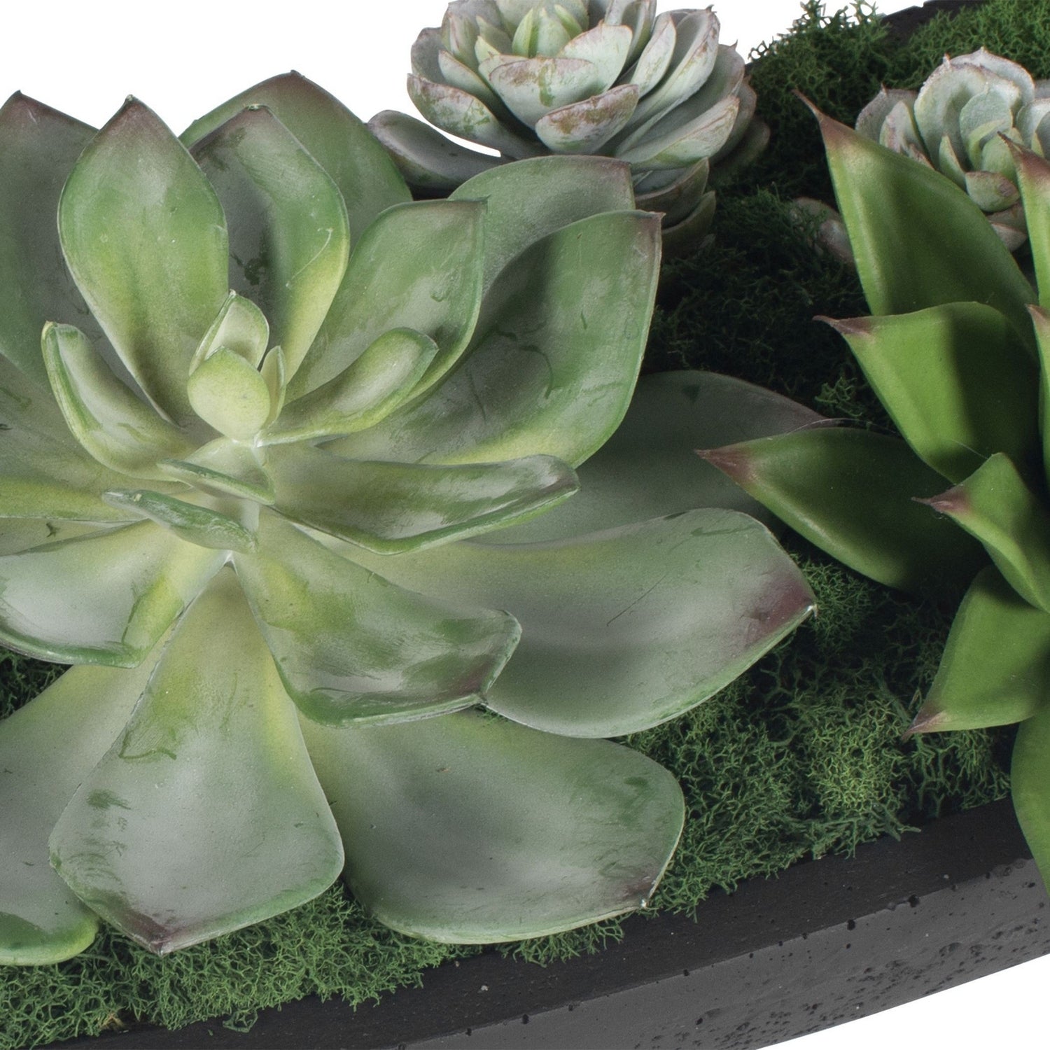 Uttermost - 60260 - Bowl Centerpiece - Verde - Black