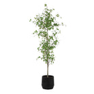 Uttermost - 60263 - Tree - Boreal - Aged Gray