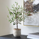 Uttermost - 60264 - Vase - Solea Olive - Green And Silvery