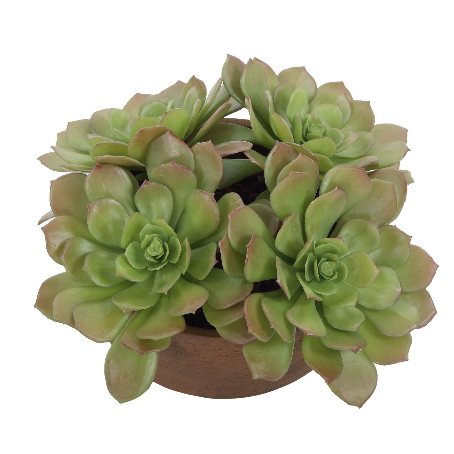 Uttermost - 60267 - Accent In Pot - Sable Succulent - Natural Terracotta
