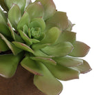 Uttermost - 60267 - Accent In Pot - Sable Succulent - Natural Terracotta