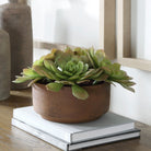 Uttermost - 60267 - Accent In Pot - Sable Succulent - Natural Terracotta