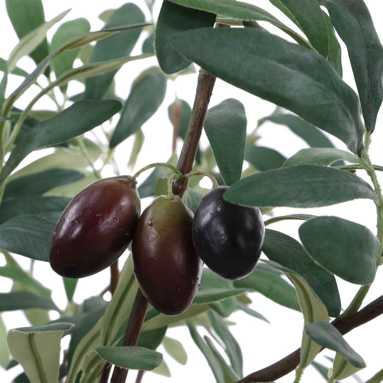 Uttermost - 60268 - Planter - Marisol - Natural-looking Olives