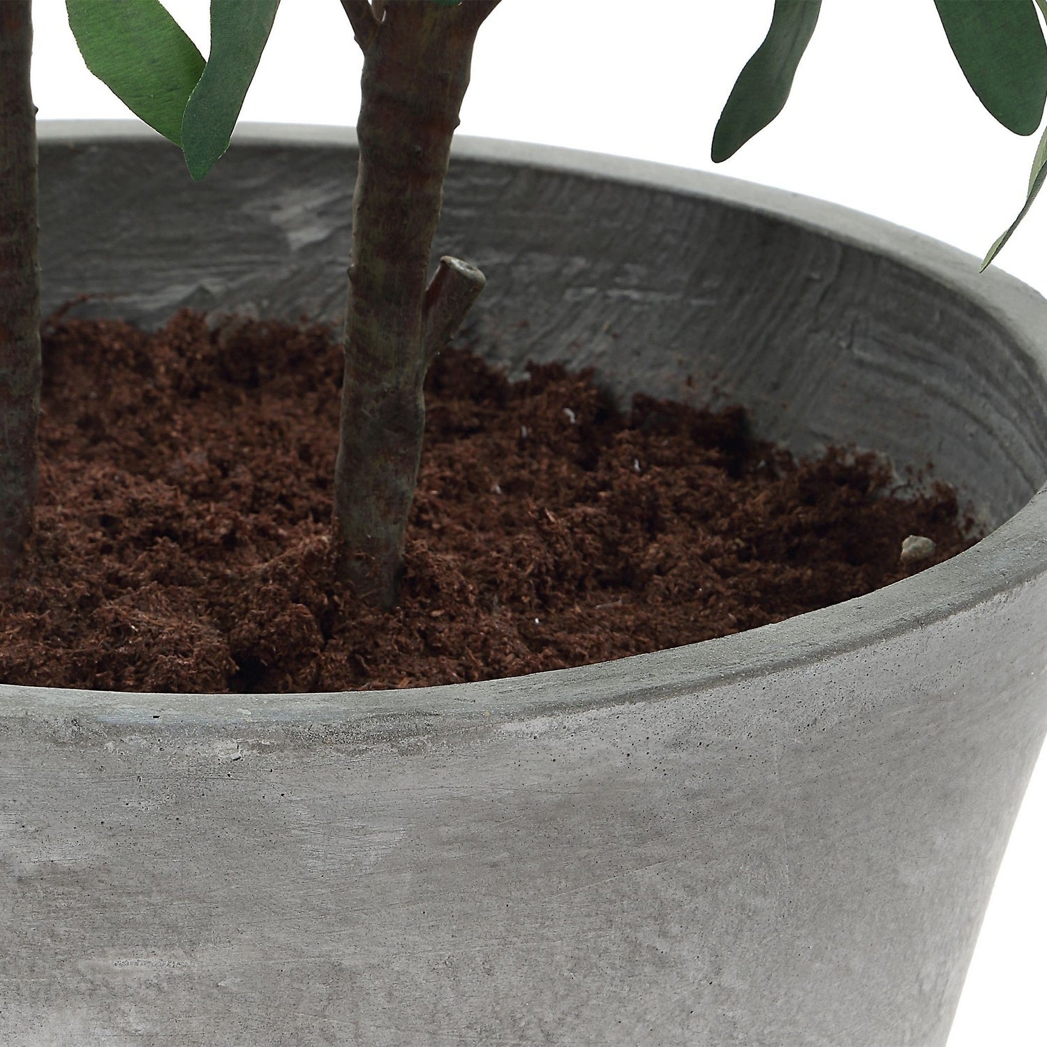 Uttermost - 60268 - Planter - Marisol - Natural-looking Olives