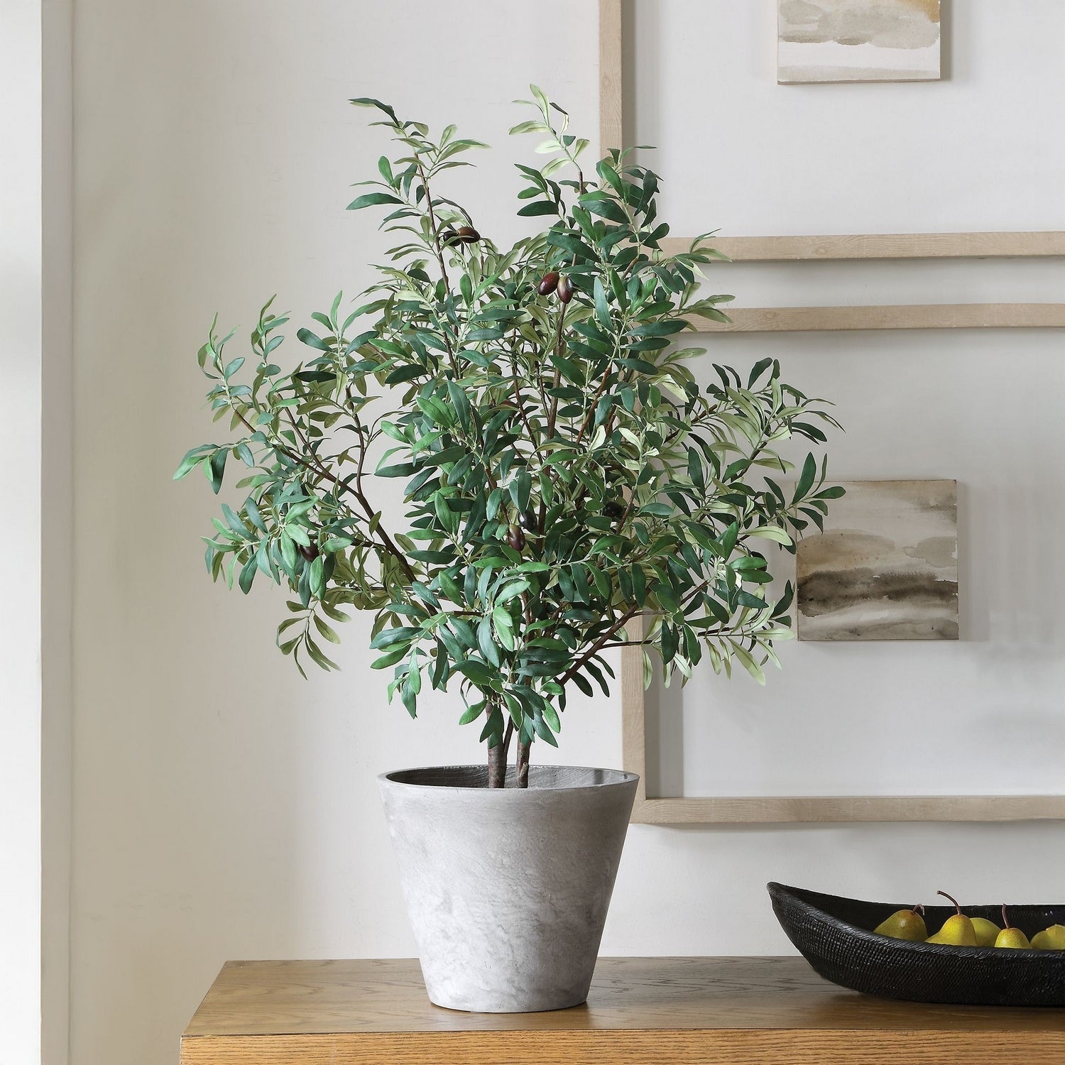 Uttermost - 60268 - Planter - Marisol - Natural-looking Olives