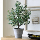 Uttermost - 60268 - Planter - Marisol - Natural-looking Olives